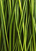 Spring onions