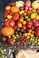 Various tomatoes on a market stand