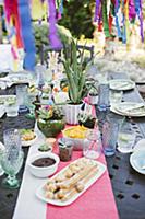 Potted succulents on table set in bright colours f