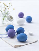 Blue and purple coloured eggs