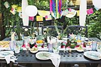 Potted succulents on table set in bright colours f