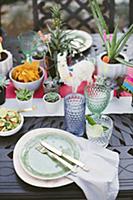 Potted succulents on table set in bright colours f