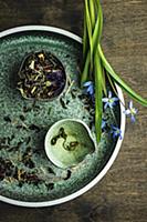 Herb tea leaves with scilla flowers on rustic back