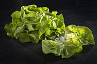 Lettuce