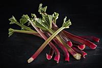 Rhubarb