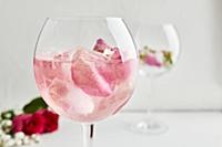 Gin and tonic cocktail with rose infused tonic and