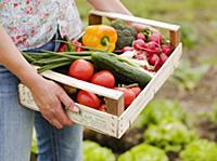 Woman holding crate of freshly picked vegetables i