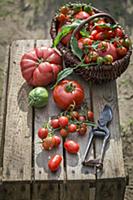 Assorted tomatoes in a wicker basket on wooden cra