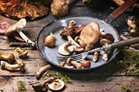 Fresh forest mushrooms in an old pan with a fork o