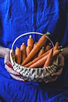 A woman holding a basket of fresh carrots