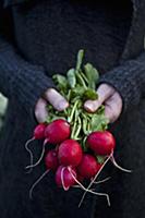 A woman holding a bunch of radishes