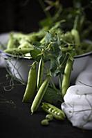 Freshly picked peapods in an enamel dish