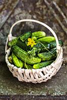 Cucumbers in the basket