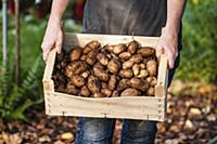 Woman holding crate of freshly harvested potatoes