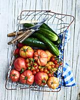 Freshly harvested tomatoes and cucumbers in a bask