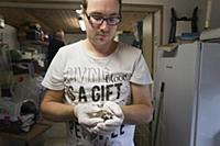 LILLA  EDET 2015-07-29
 The “Hedgehog Hospital” t