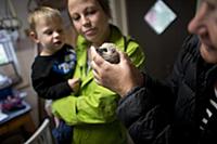 LILLA  EDET 2015-07-29
 The “Hedgehog Hospital” t