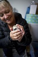 LILLA  EDET 2015-07-29
 The “Hedgehog Hospital” t