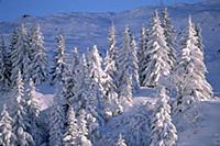 Австрия, Арлберг. Горы