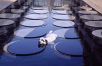 Активный отдых так или иначе связан с водой. На фо