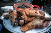 Особенности национальной кухни Вьетнама
