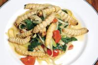 Австралийская кухня. На фото - личинки насекомых (