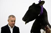 Фотосессия Дэмьена Херста (Damien Hirst), Киев, 23