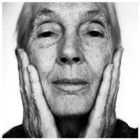 Фотосессия Джейн Гудолл (Jane Goodall), май 2009.
