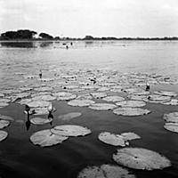 Мир Габриэля Гарсиа Маркеса в эксклюзивном фотореп