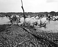 Мир Габриэля Гарсиа Маркеса в эксклюзивном фотореп