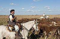 Подборка фотографий Аргентины и окрестностей, 2014