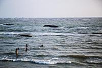 Myanmar / Sittwe / 2014 / Fishermen catching fish.