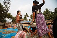 Myanmar / Ngapali / 2014 / Burmese women sorting f