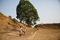 Myanmar / Mrauk U / 2014 / Burmese women carrying 