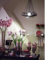 Hungary / Budapest / 2014 / Flower and design shop