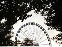 Hungary / Budapest / 2014 / Budapest Eye (Sziget E
