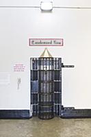 USA / California / San Quentin / 2015 / Mandi /.Sa