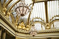 USA / California / San Francisco / The gold standa