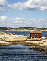 Sweden / Vastra Gotaland / Koster Islands / 2014 /