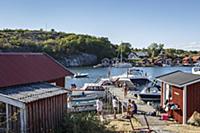 Sweden / Vastra Gotaland / Koster Islands / 2014 /