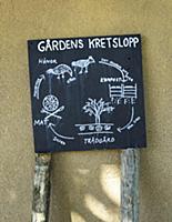 Sweden / Vastra Gotaland / Koster Islands / Koster