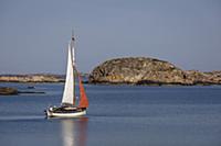 Sweden / Vastra Gotaland / Grebbestad / 2014 / Sai