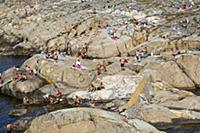 Sweden / Vastra Gotaland / Vaderoarna / 2014 / The