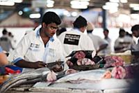 United Arab Emirates / Dubai / 2014 / Seller at th