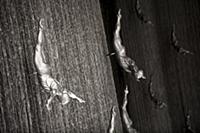 United Arab Emirates / Dubai / 2014 / Diving sculp