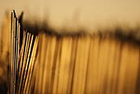 USA / Florida / Miami / 2009 / Fences of the beach