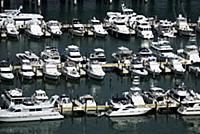USA / Florida / Miami / 2010 / Marina port in the 