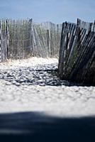 USA / Florida / Miami / 2009 / Fences of the beach