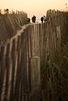 USA / Florida / Miami / 2009 / Fences of the beach