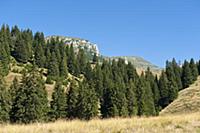 ROMANIA / Wallachia / Bucegi Natural Park / Bucegi